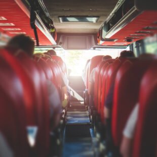 Trips by bus